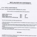 MAIOLO DECLARATION OF CONFORMITY